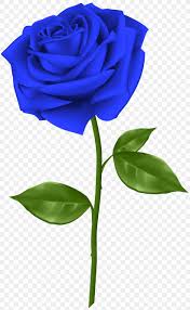 blue rose flower clip art png