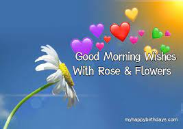 All of the images are. 200 Beautiful Good Morning Wishes With Roses Flowers Hd