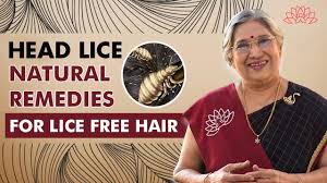 lice free hair naturally head lice