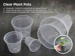 Clear Plant Pots Root Growth And