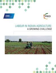 Labour in Indian Agriculture: A Growing ...