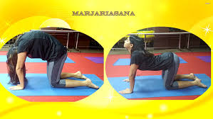 The cat pose is like the cow pose except that the back is curved. Marjariasana Benefits Cat Pose Yoga Cat Cow Pose Pregnancy