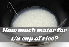 how much water for 1 2 cup of rice