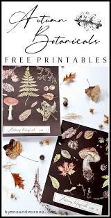 Autumn Botanical Prints And Diy Wall Chart Top Bloggers