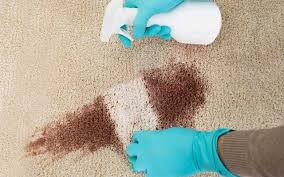 carpet cleaning mississauga for