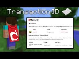 minecraft transaction ids what you