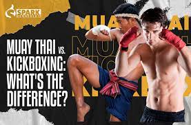 muay thai vs kickboxing what s the