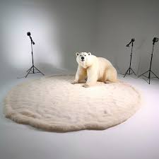 a white carpet and a polar bear