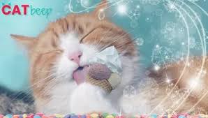 Unless a cat is allergic to strawberries, they are safe to eat. Can Cats Eat Ice Cream Cat Beep