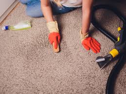 econo carpet cleaning llc carpet