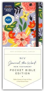 niv journal the word new testament