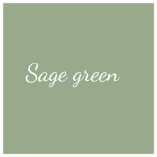 Sage Green Paint