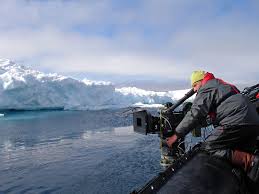 RÃ©sultat de recherche d'images pour "arctic film"