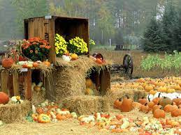 Autumn Harvest Wallpapers - Top Free ...