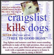 Greenfield puppies has been finding homes for puppies since 2000. 110 Craigslist Animals Need Saving Too Ideas Animals Pets Animal Abuse