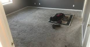 removing mold from carpeting mold