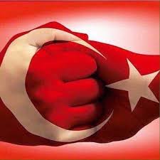 Türkiye cumhuriyeti cumhurbaşkanlığı resmî sitesi. 707 Turkiye Al Bayrak Ideen In 2021 Turkei Turkei Flagge Turkische Flagge