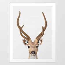 deer print deer art animal prints