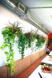 Wall Mounted Planters Outdoor