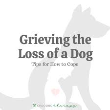 grieving the loss of a dog