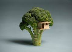 ¿de cuántas letras es la solución de 4 fotos 1 palabra que buscas? 10 Brokoli Ideas Broccoli Broccoli Benefits Broccoli Health Benefits