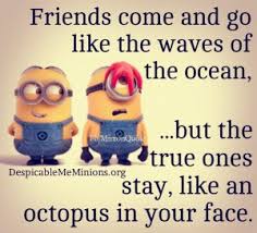 Minions friendship quotes are really sweet and sometimes weird, as these little minions are really fond of rocking in gangs. Minion Quotes About Friendship Quotesgram