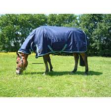 mark todd lightweight combo turnout rug