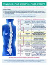 Spinal Nerve Scan Surface Emg Harrison City Pa