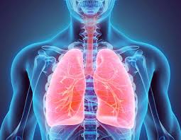 Maybe you would like to learn more about one of these? Can Peritoneal Mesothelioma Spread To The Lungs Pintas Mullins Law Firm