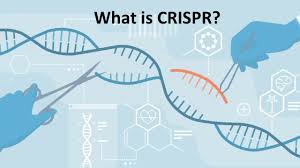 crispr cas9 explained you