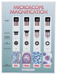 Microscope Magnification Chart Teaching Supplies Classroom Safety