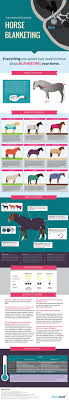 Learn About How To Measure Your Horse For A Blanket Whether