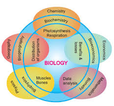 Notes On Relation Of Biology With Other Sciences Grade 11