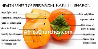 persimmon kaki sharon fruits