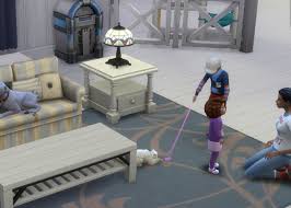 Top 10 Sims 4 Best Households Gamers