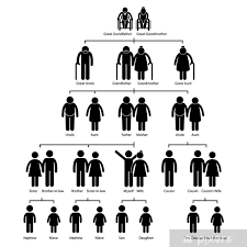 Family Tree Genealogy Diagram Poster