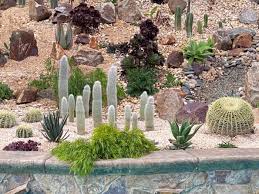Tracy S Dry Garden In California