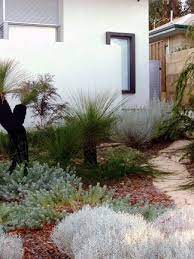 Love This Australian Native Garden Idea