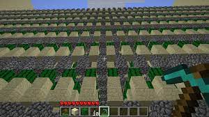 Cactus is known for its use in making cactus green, which is a colored dye that can aid in making cyan wool, lime green wool, and green wool. Cactuslimiter No More Skyscrapers Cactus Farm Spigotmc High Performance Minecraft