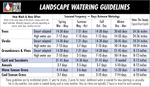 Plant Watering Guide Water Use It Wisely