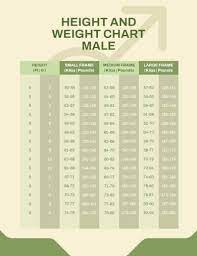 height and weight chart templates for