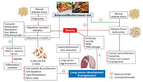 nutrition in lung cancer