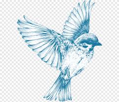 Favim.com/image/2181023 lovethispic is a place for people to come and share inspiring pictures. Bird Drawing For Girls Sketch Blue Bird Watercolor Painting Pencil Png Pngegg