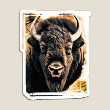 Image result for dayglo bison