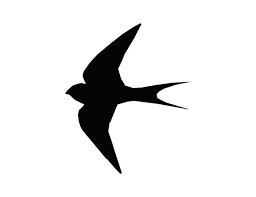 Bird Stencil Bird Silhouette Art
