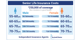 For life insurance, over 50s select from term and whole life policies. Senior Life Insurance Explore Your Options Trusted Choice