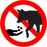 Why shouldnt you feed coyotes?