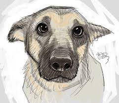 Thanks for watching our channel. Puppy Eyes By Ej Su On Deviantart Find More At Http Www Pinterest Com Competing Dog Art Dog Drawing Animal Drawings