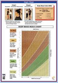 Chartex Height Weight Bmi Chart A3l 0501a Health And