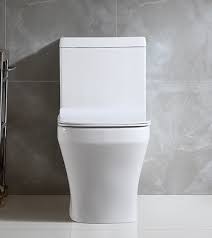 Flush To Wall Toilet Floor Mounted 1